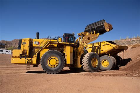 cat999
